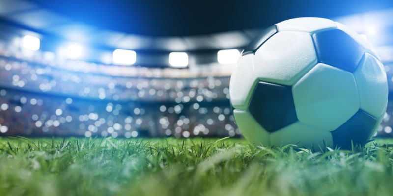 Chương trình vô cùng hấp dẫn