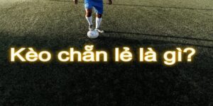 Kèo chẵn lẻ là kè gì