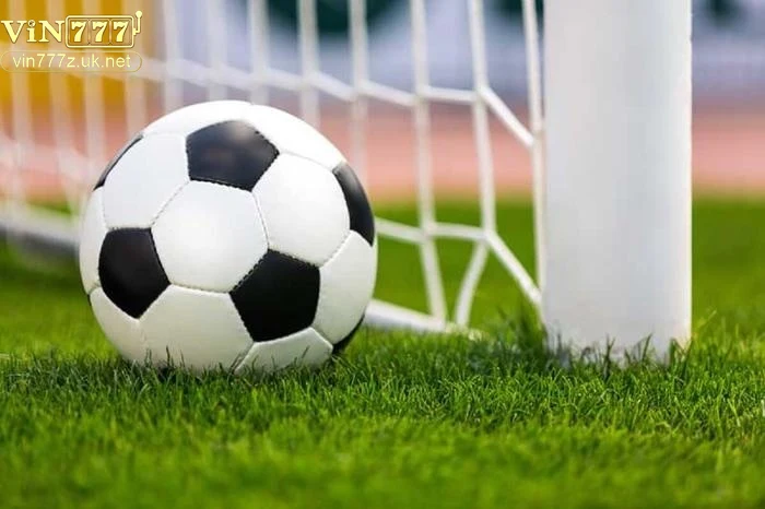 khai-niem-bong-co Khái niệm bóng cỏ là gì